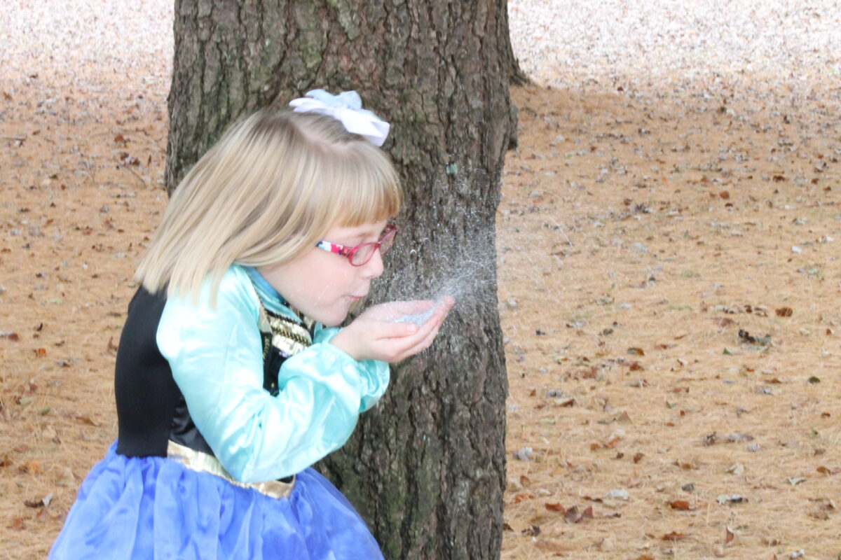Frozen Themed Photo Shoot and Five Tips for Photographing Kids