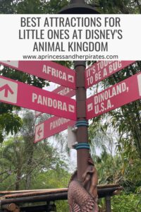 Best attractions for little ones at Disney's animal kingdom theme park