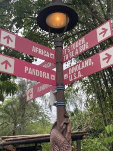 At first glance, Disney’s Animal Kingdom may seem like an overly large zoo or animal wildlife preserve.  But if you explore it, you’ll find there are some great rides and attractions for even the littlest ones in your travel party. 
