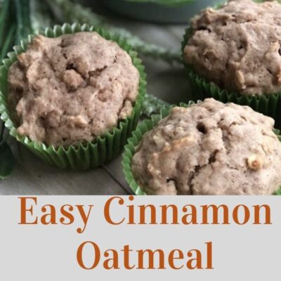 Easiest Cinnamon Oatmeal Muffins Ever