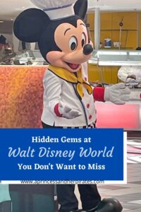 Hidden Gems at Disney World