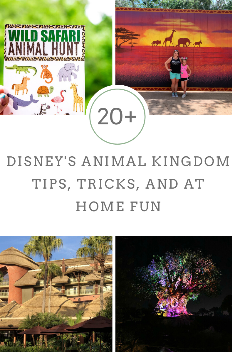 20 + Disney's Animal Kingdom Tips, Tricks, and At Home Fun - A Princess and  Her Pirates