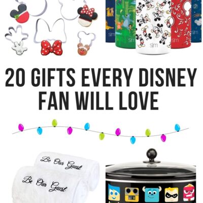 Disney Fan Gift Guide