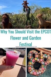EPCOT Flower and Garden Festival