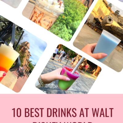 10 Best Drinks at Walt Disney World