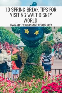 10 Spring Break Tips for Visiting Walt Disney World #disneytraveltips #springbreakatdisney #disneyparks